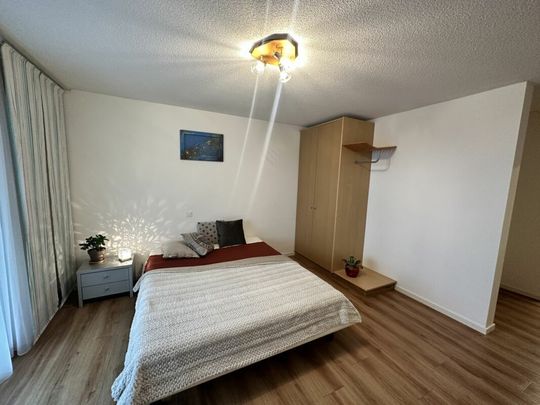Furnished studio / 1-room apartment near the center - Foto 1