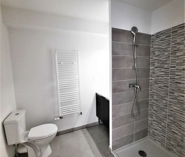 Location Appartement 2 pièces 39m² ROQUES 31120 - Photo 4