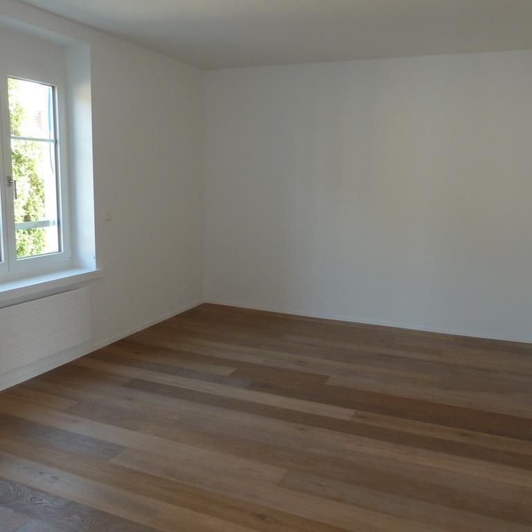Helle Wohnung in der Nähe vom Lochergut in Zürich - Photo 1