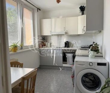 Pronájem bytu 1+1 se sklepní kójí a možností užívání zahrady u domu - Photo 2
