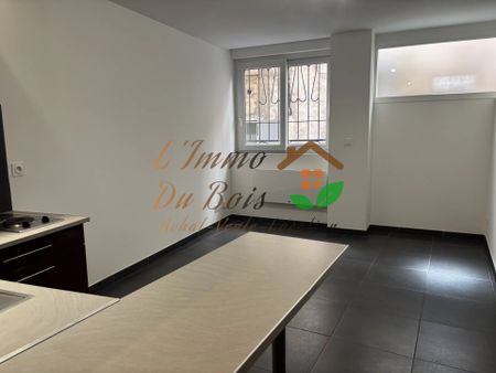 Location Appartement 1 pièce 25m² VIENNE 38200 - Photo 3