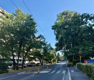 Spacieux appartement de 2 chambres entièrement meublé à Petit-Saconnex - Foto 5