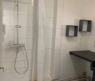 Location appartement 2 pièces 42 m² à Vienne (38200) - Photo 5