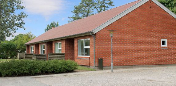 Hørby - Photo 2