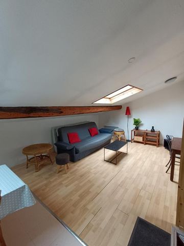 Location Appartement 1 pièce Meublé 22m² NANCY 54000 - Photo 2