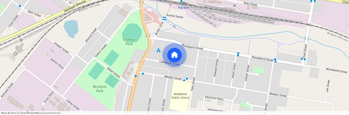 20 Callaghan Street, NSW 2870, Parkes