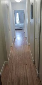 Renovated, Large 1Br Unit - Photo 4