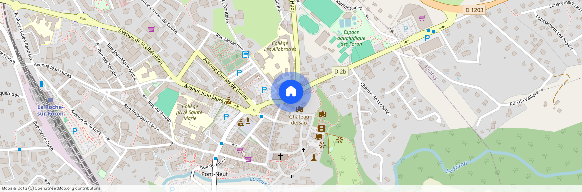 AUVERGNE-RHÔNE-ALPES, HAUTE-SAVOIE (74), 74800, La Roche Sur Foron