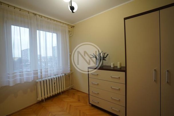 M-3 POŁUDNIE WŁOCŁAWEK - Photo 1