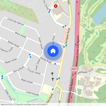 2a Hansen Place, NSW 2307, Shortland