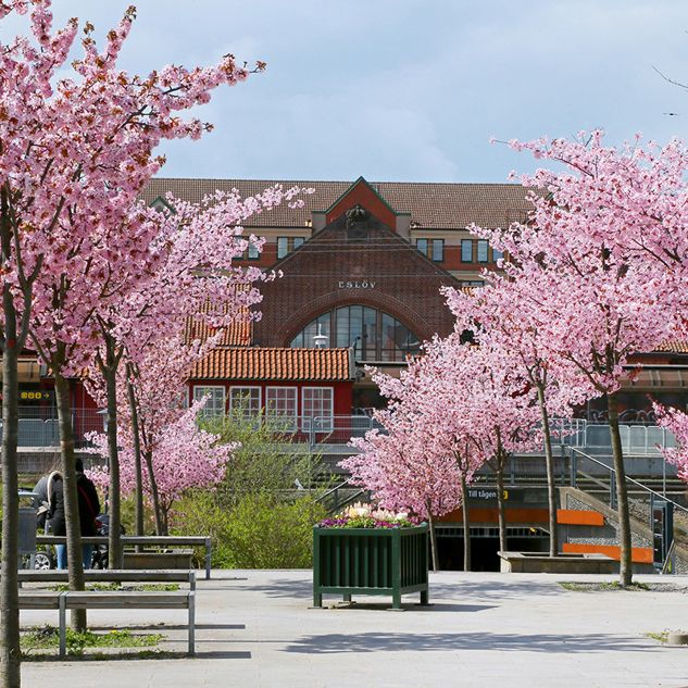 Södergatan 14 D, Eslöv Centrum - Foto 1