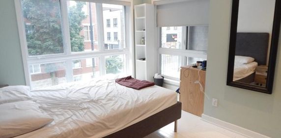 Magnifique condo meublé de 2 chambres au cœur du Plateau - Photo 2