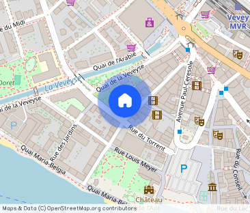 Spacieux appartement de 4 pièces au coeur de Vevey - Photo 1