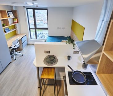 Studio Gold - Photo 2