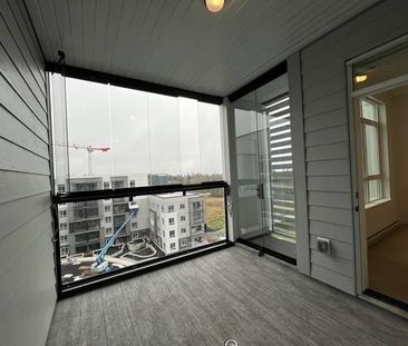 BRAND NEW PENTHOUSE – 1BD - IN LANGLEY FOR RENT - Photo 2