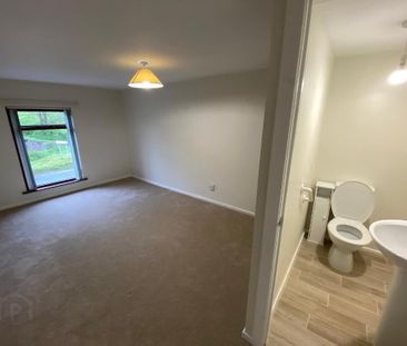 88 Pomeroy Road, Cookstown, BT80 9EY - Photo 5