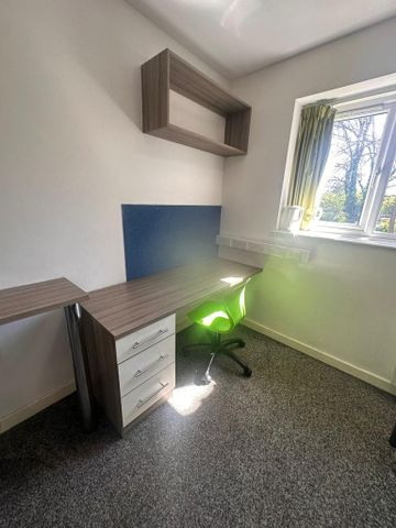 Studio to rent - Photo 3