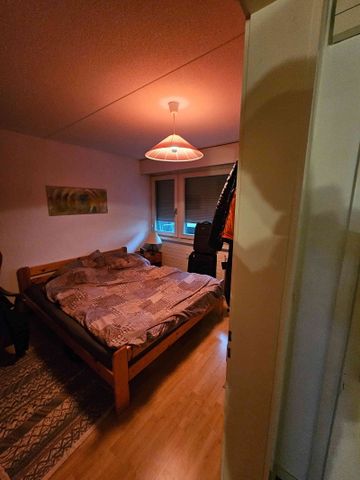 2.5 Zimmer, 65 m², 2. Stock - Photo 2