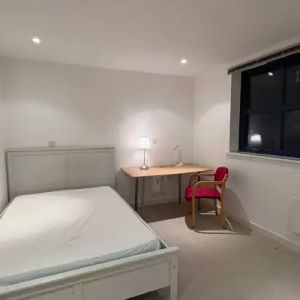 1 Bed 1 bath - Photo 2