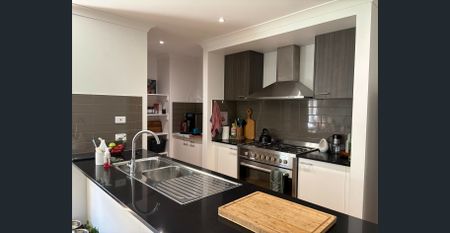 Spacious Contemporary Home - Photo 2