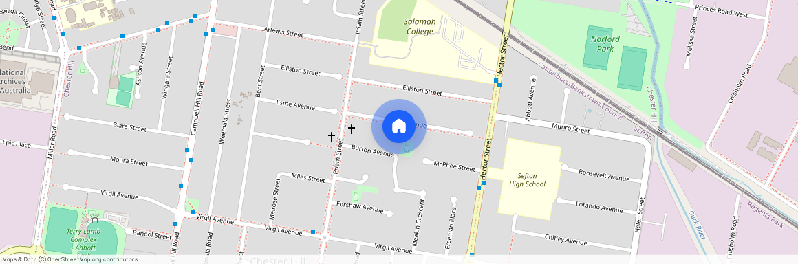 31 Esme Avenue, NSW 2162, Chester Hill