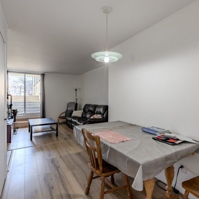 Le Confluent Appartements Appartement 4 ½ à Louer Lévis Juillet 2026 - Photo 1