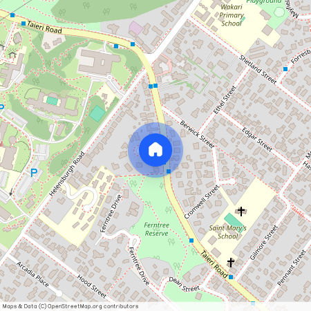 1 Broomlea Street, Wakari, Dunedin City