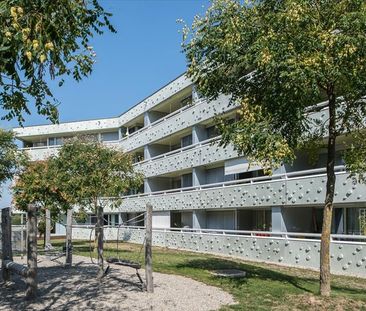 "Wohnen im Rosenberg an zentraler Lage mit eigenem Concierge!" - Photo 5