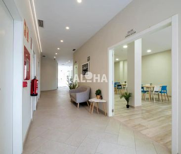 Alfara Del Patriarca - Photo 3