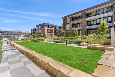 72/39 McIntyre Street, Narrabundah ACT 2604 - Apartment For Rent | Domain - Photo 4