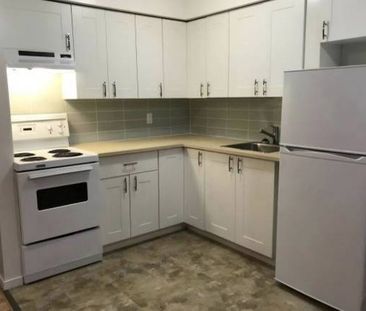 Pet-friendly renovated one bedroom! - Photo 1