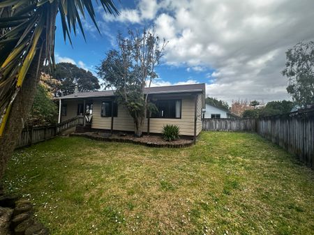 4 Armitage Place, Tuakau - Photo 5