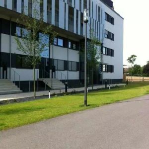 Bargmannstraße 21, 45127 Essen - Foto 2