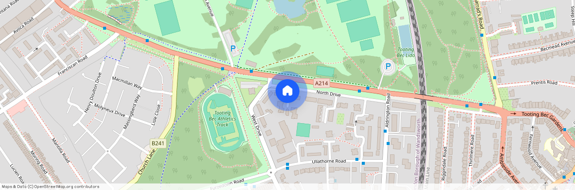 North Drive, SW16 1RL, London