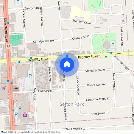 99 Alice Street, SA 5083, Sefton Park