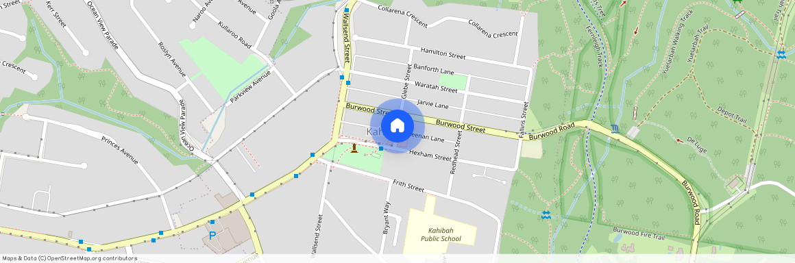 3 Keenan Lane, NSW 2290, Kahibah