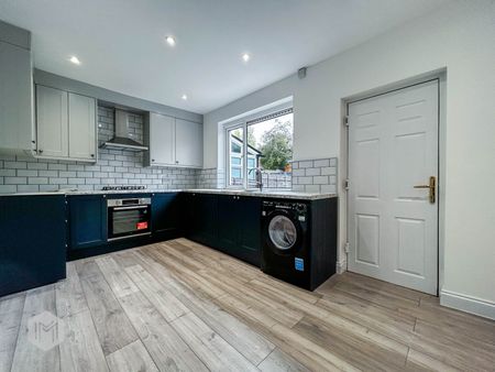 Fern Street - Photo 5