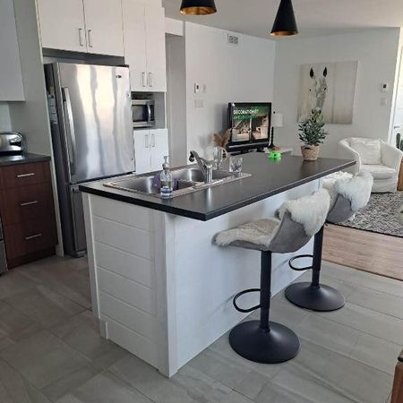Logement 4 1/2 près du bord de l’eau - Photo 4