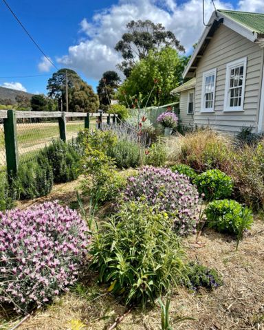 13 Hornsby Street, Maldon - Photo 5