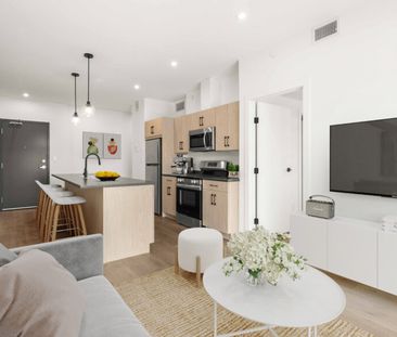 Pine: Grey Cabinets – 225 Peguis, Winnipeg, MB - Photo 6