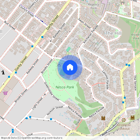 2/4 Armitage Street, The Hill, NSW 2300