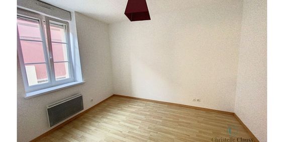 Appartement - KEMBS - 32m² - 1 chambre - Photo 3