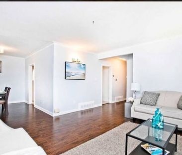 For Lease - 31 Romulus Drive Unit# Main, Toronto, Ontario - Photo 5