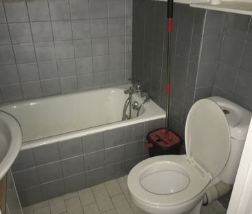 Location Appartement 1 pièce 25m² SALLANCHES 74700 - Photo 5