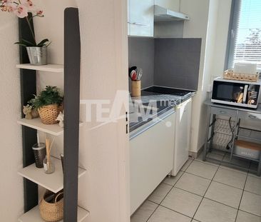 Location Appartement 1 pièce 33m² SETE 34200 - Photo 5