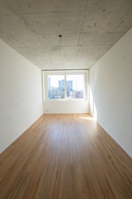 Moderne 2.5 ZWG avec immense terrasse partagée sur le toit - Photo 1