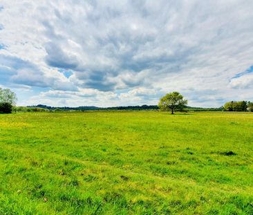 2 bedroom cottage to rent - Photo 5