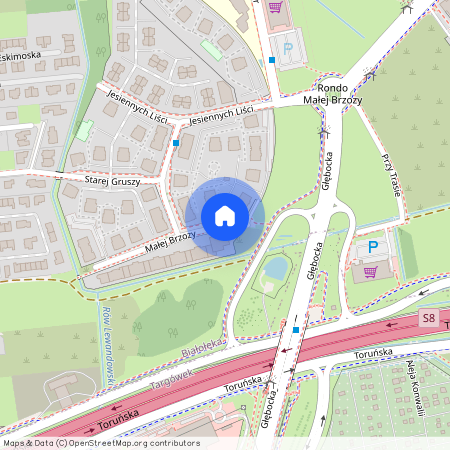 Warszawa, Malej, Brzozy