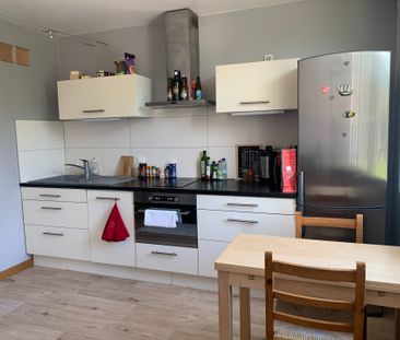 Location Appartement 1 pièce 26m² SEYSSINET PARISET 38170 - Photo 3