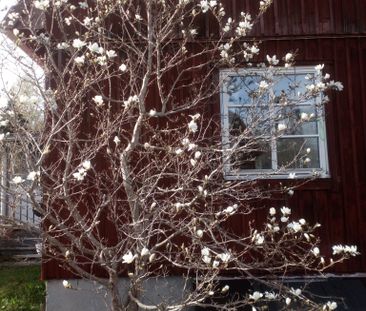 Hyttvägen, Grängesberg - Foto 6